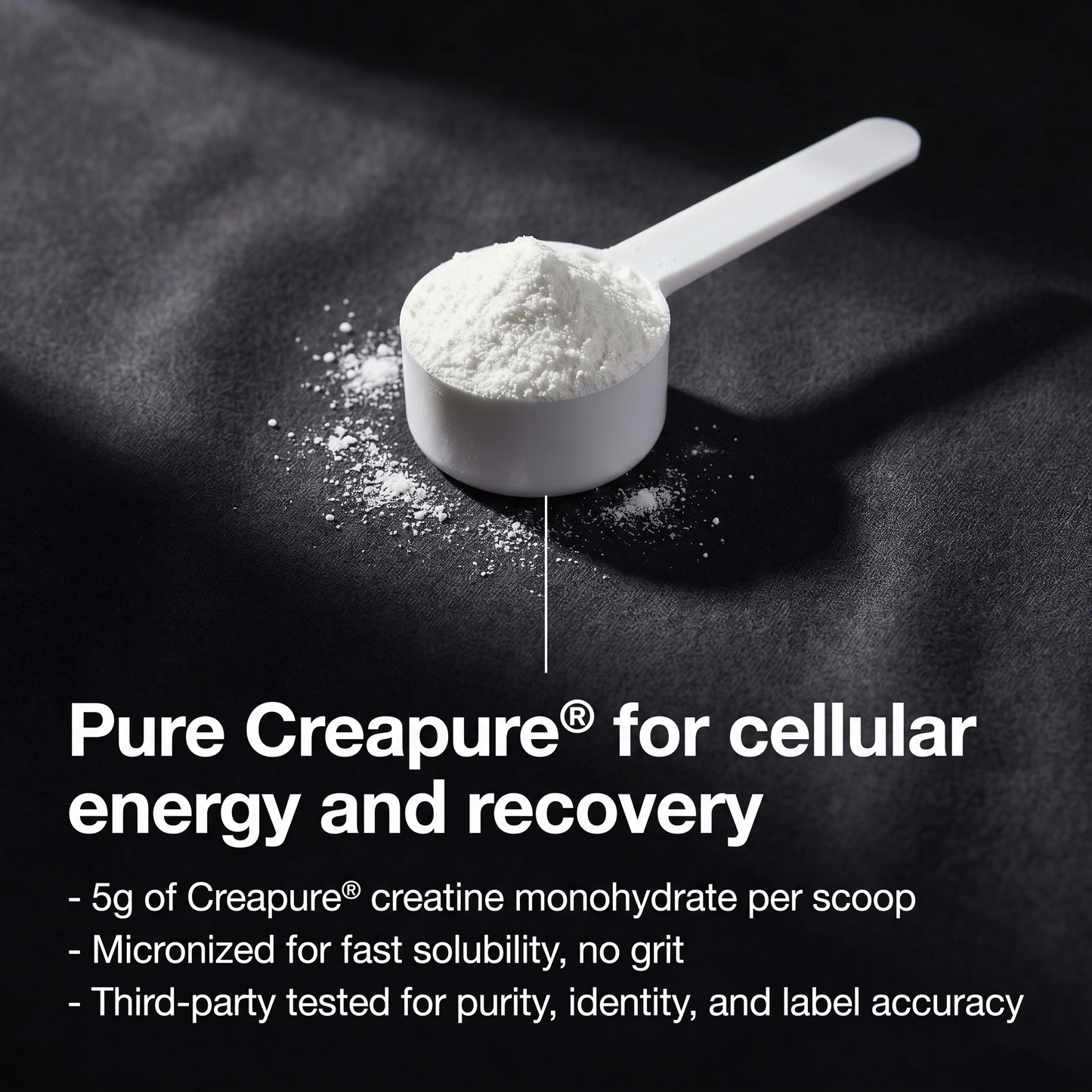 Creatine Monohydrate