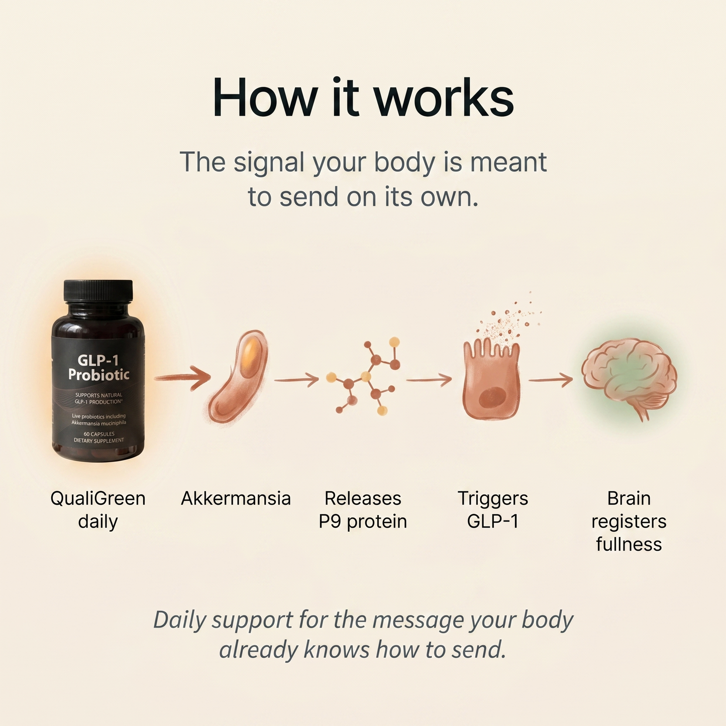 The Daily Gut Reset