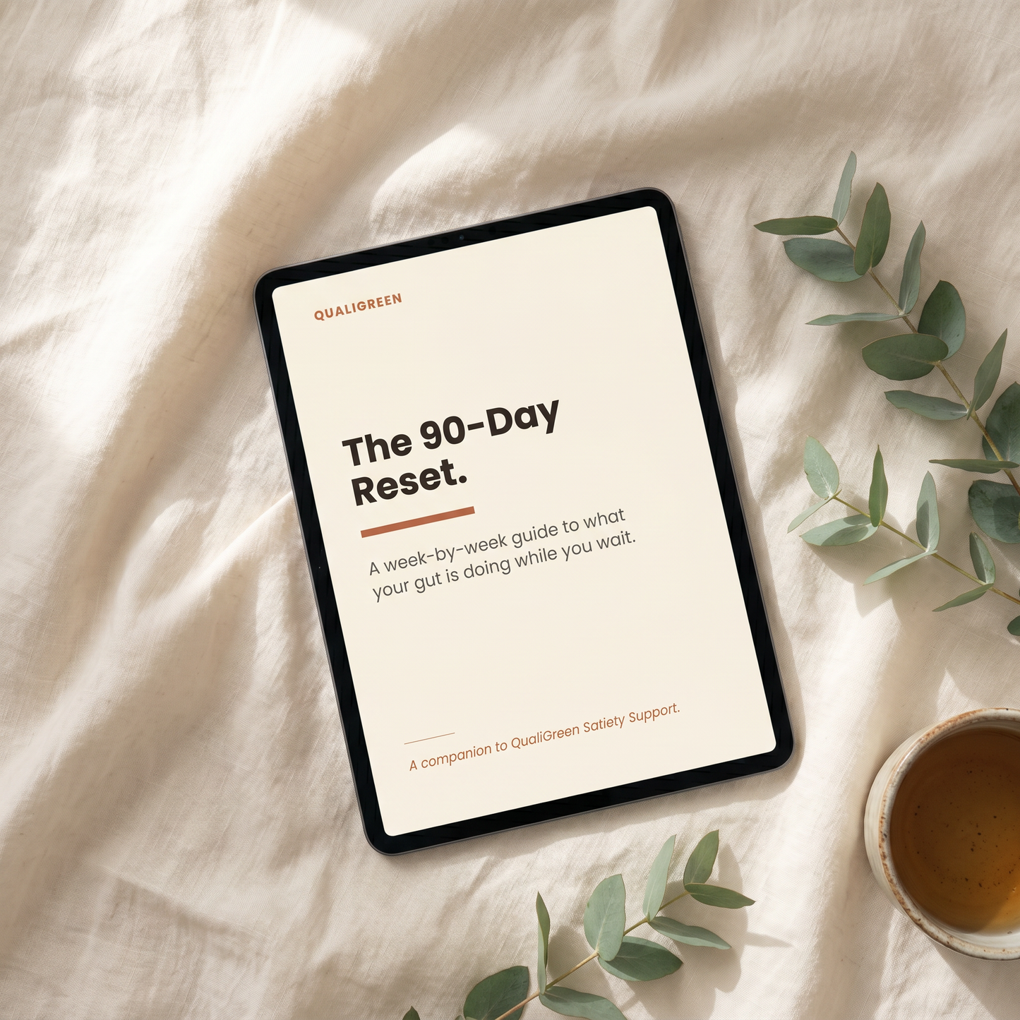 The Free 90-Day Reset Guide
